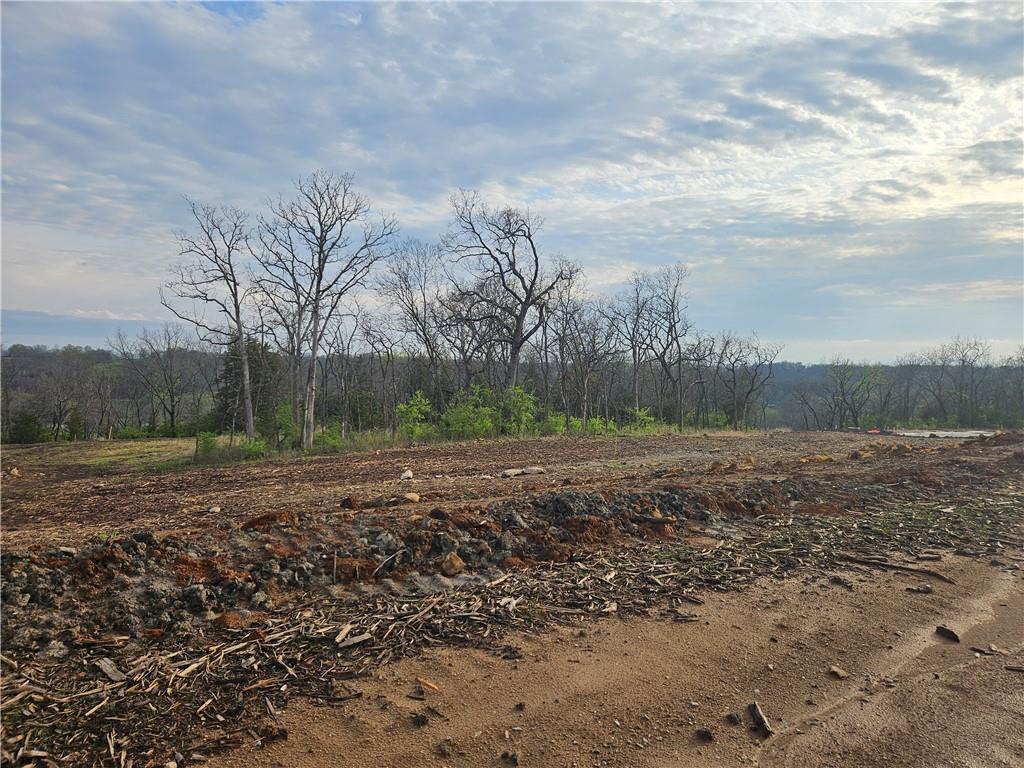 7031 Oak Ridge Drive Shawnee, KS 66217 - Photo 6 of 15