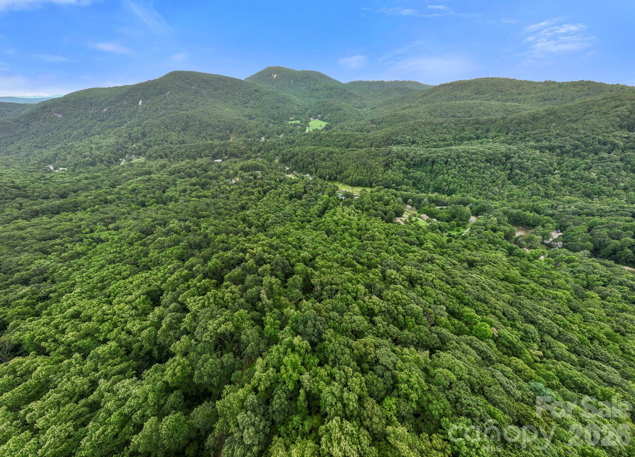 99999 Little Pisgah Road Fairview, NC 28730 - Photo 11 of 13