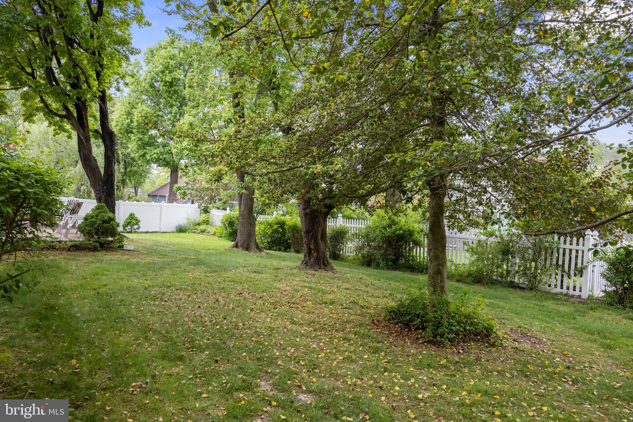 100 Sawmill Road Cherry Hill, NJ 08034 - Photo 35 of 35 a view of a yard with plants and trees