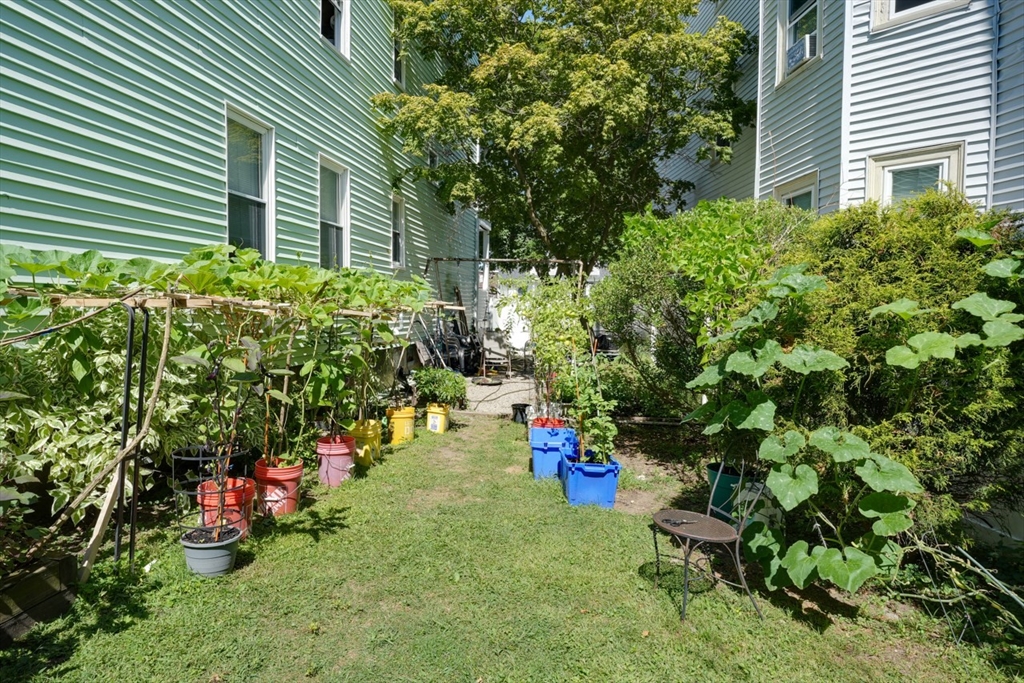 99 Beech Street Belmont, MA 02478 - Photo 2 of 37 a backyard of a house with lots of green space