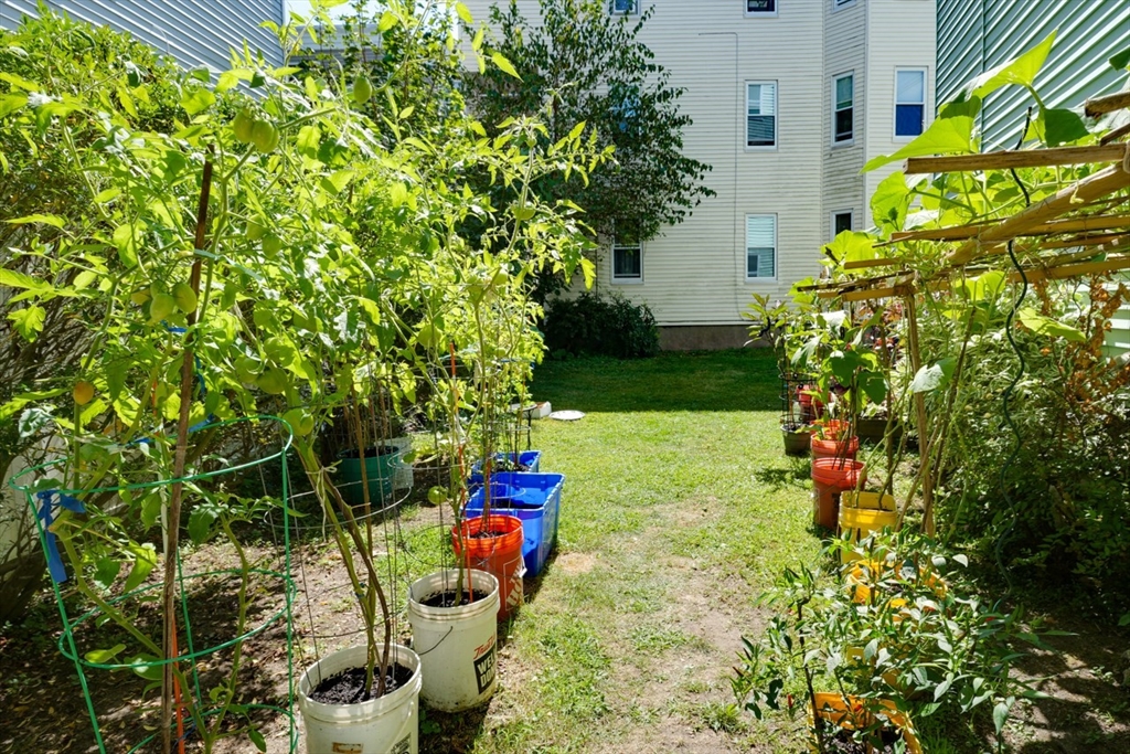 99 Beech Street Belmont, MA 02478 - Photo 37 of 37 a backyard of a house with lots of green space