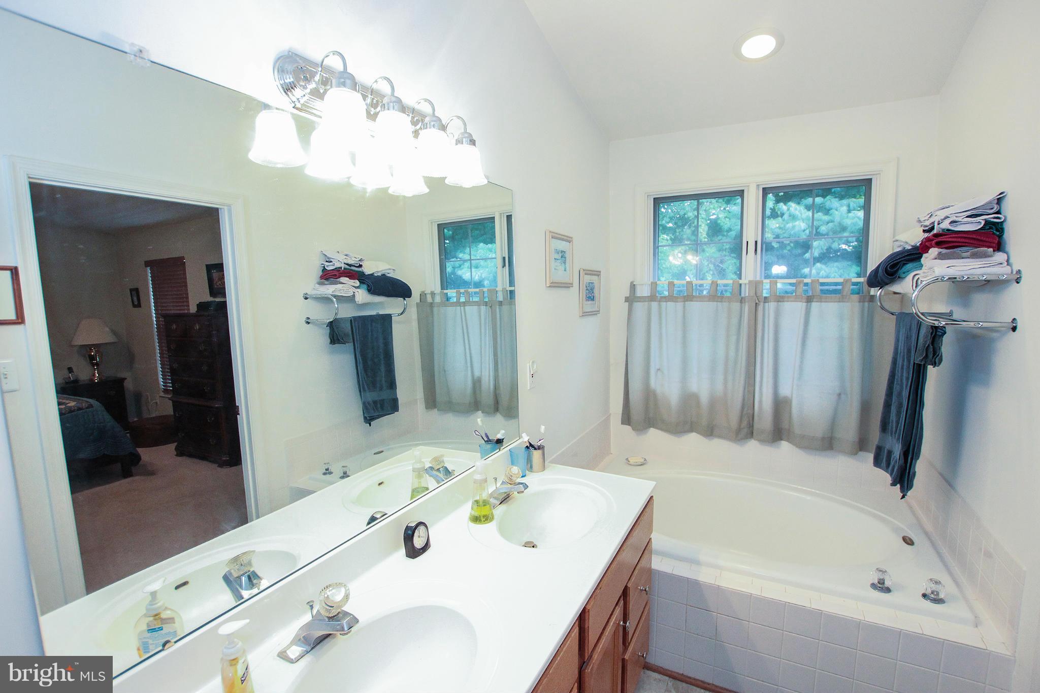 20517 Ashley Terrace Sterling, VA 20165 - Photo 13 of 30 Bath (Master)