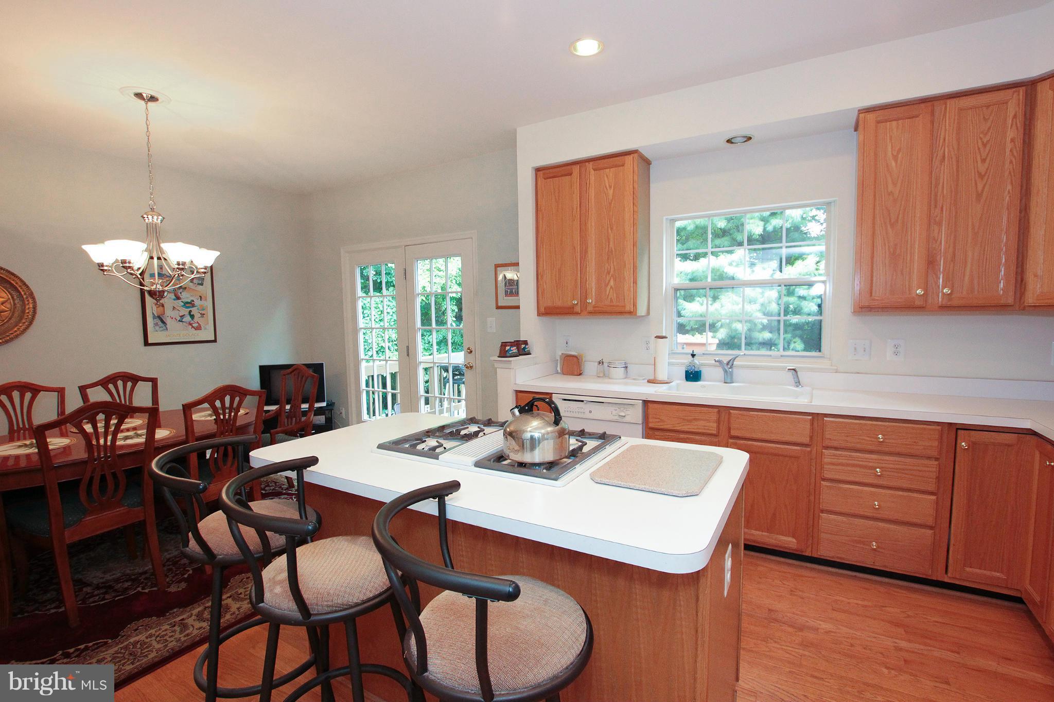 20517 Ashley Terrace Sterling, VA 20165 - Photo 5 of 30 Kitchen