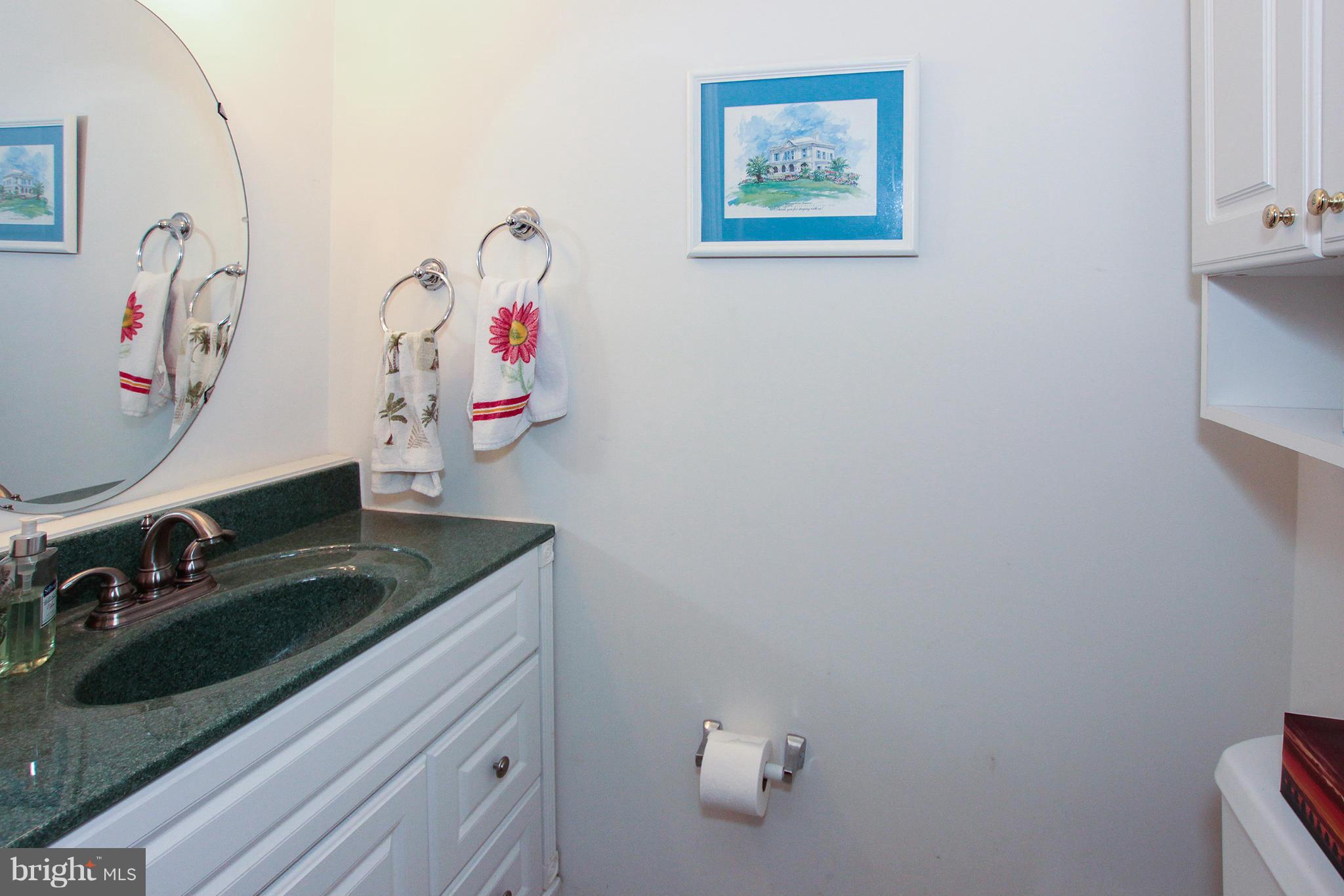 20517 Ashley Terrace Sterling, VA 20165 - Photo 9 of 30 Powder Room