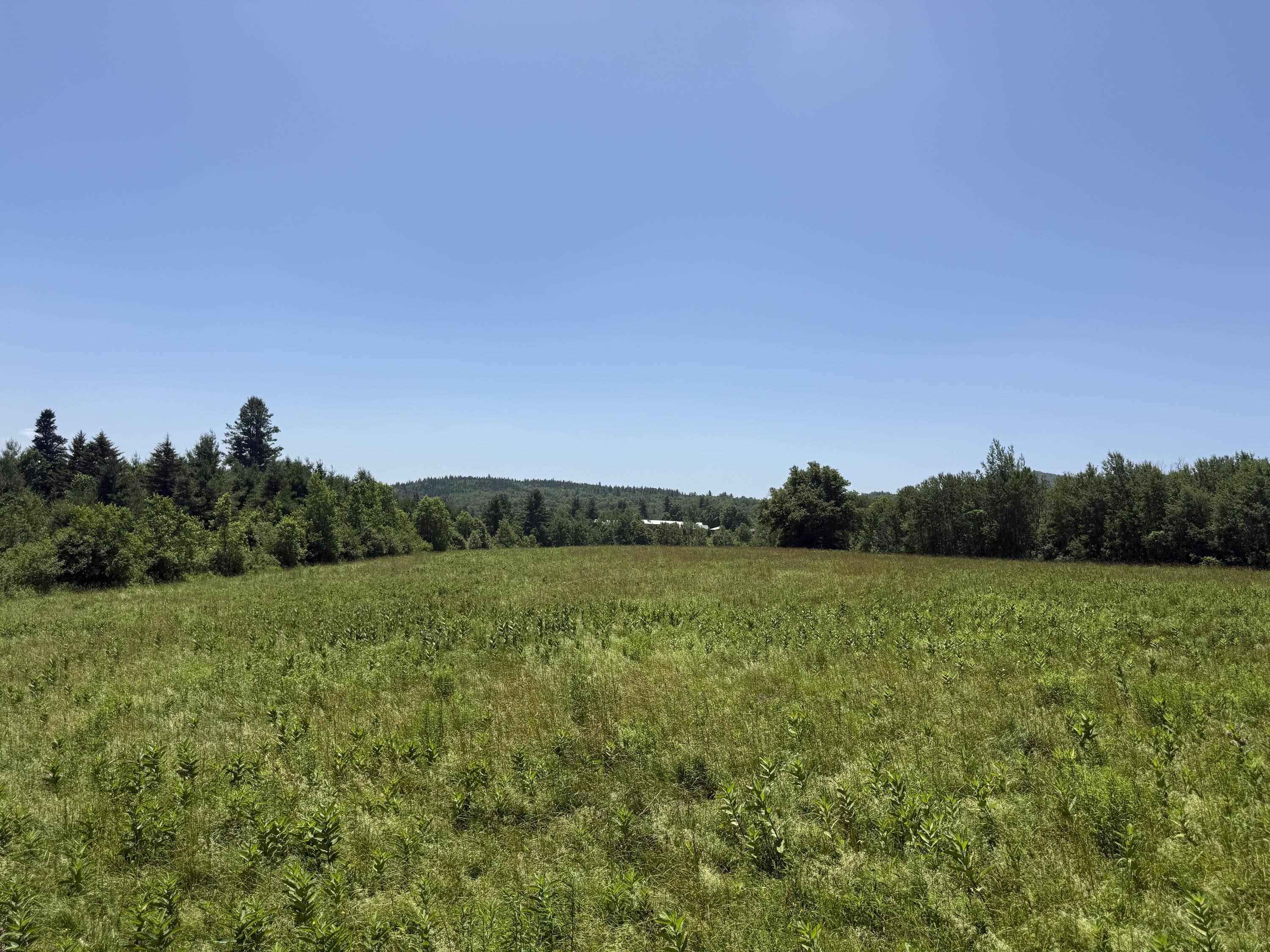 634 Lower Dover Road Marlboro, VT 05301 - Photo 7 of 59