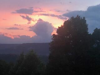 690 Ditch Gap Road Whitwell, TN 37397 - Photo 103 of 104 IMG_6342