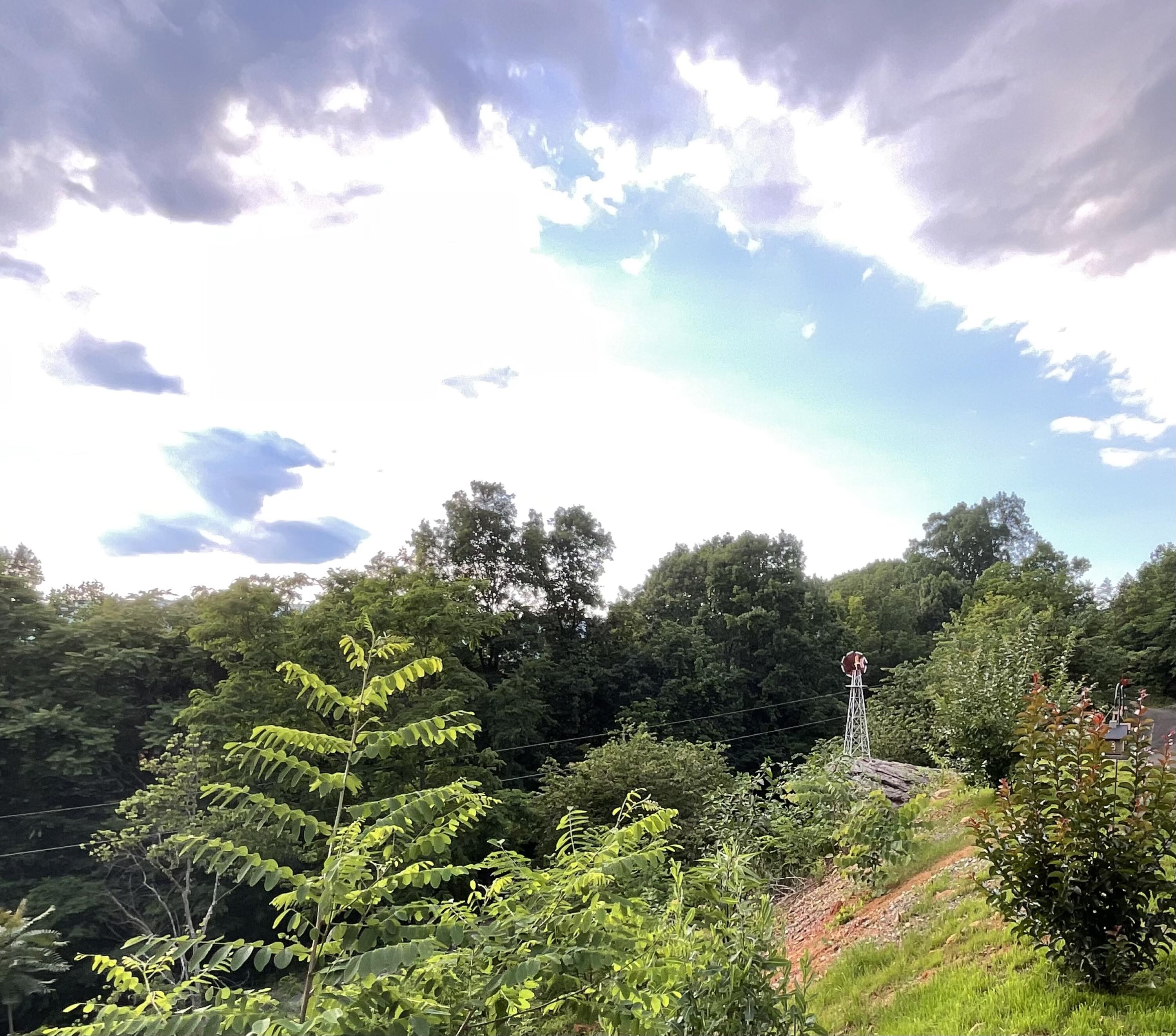 690 Ditch Gap Road Whitwell, TN 37397 - Photo 2 of 104 IMG_0281