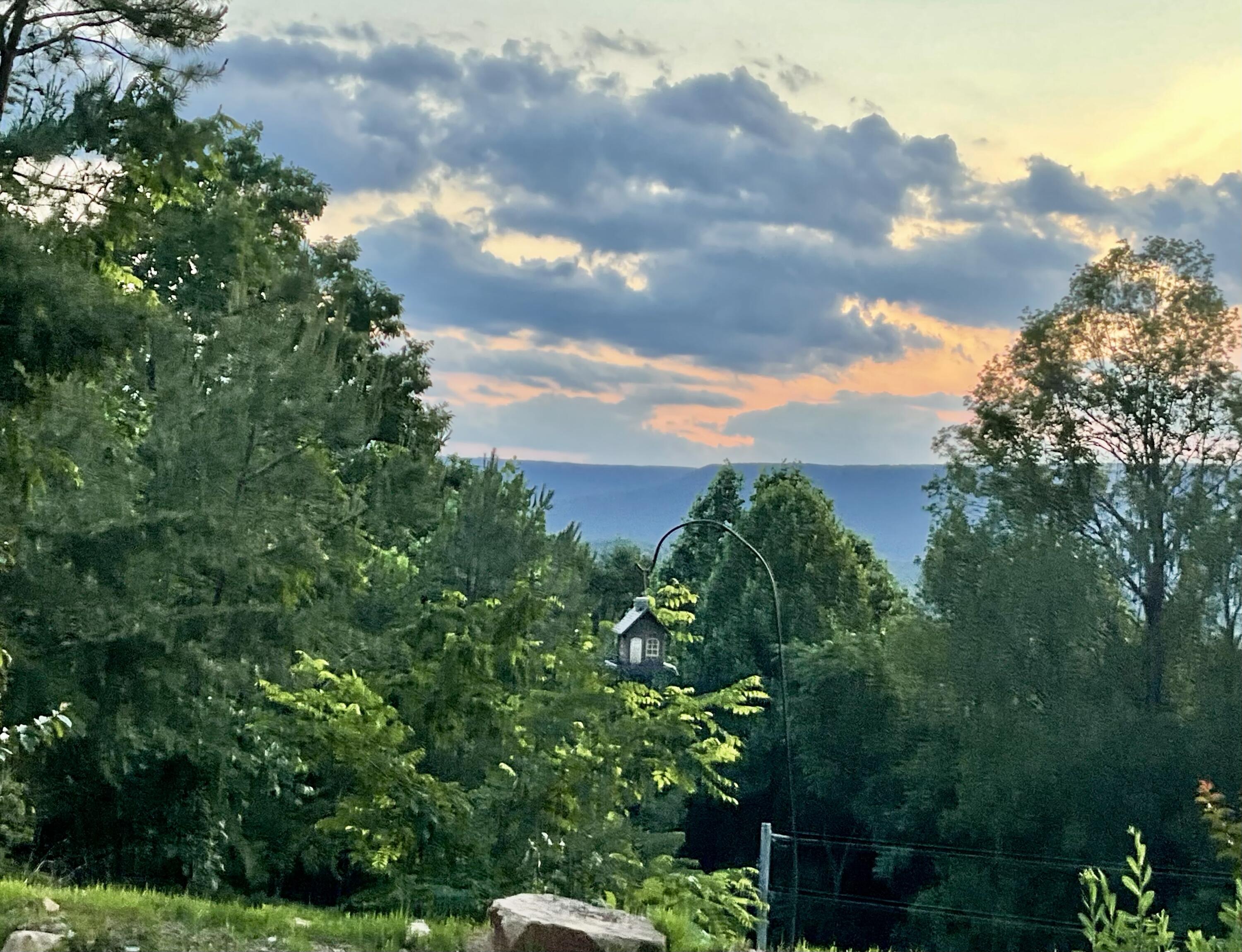 690 Ditch Gap Road Whitwell, TN 37397 - Photo 3 of 104 IMG_0385