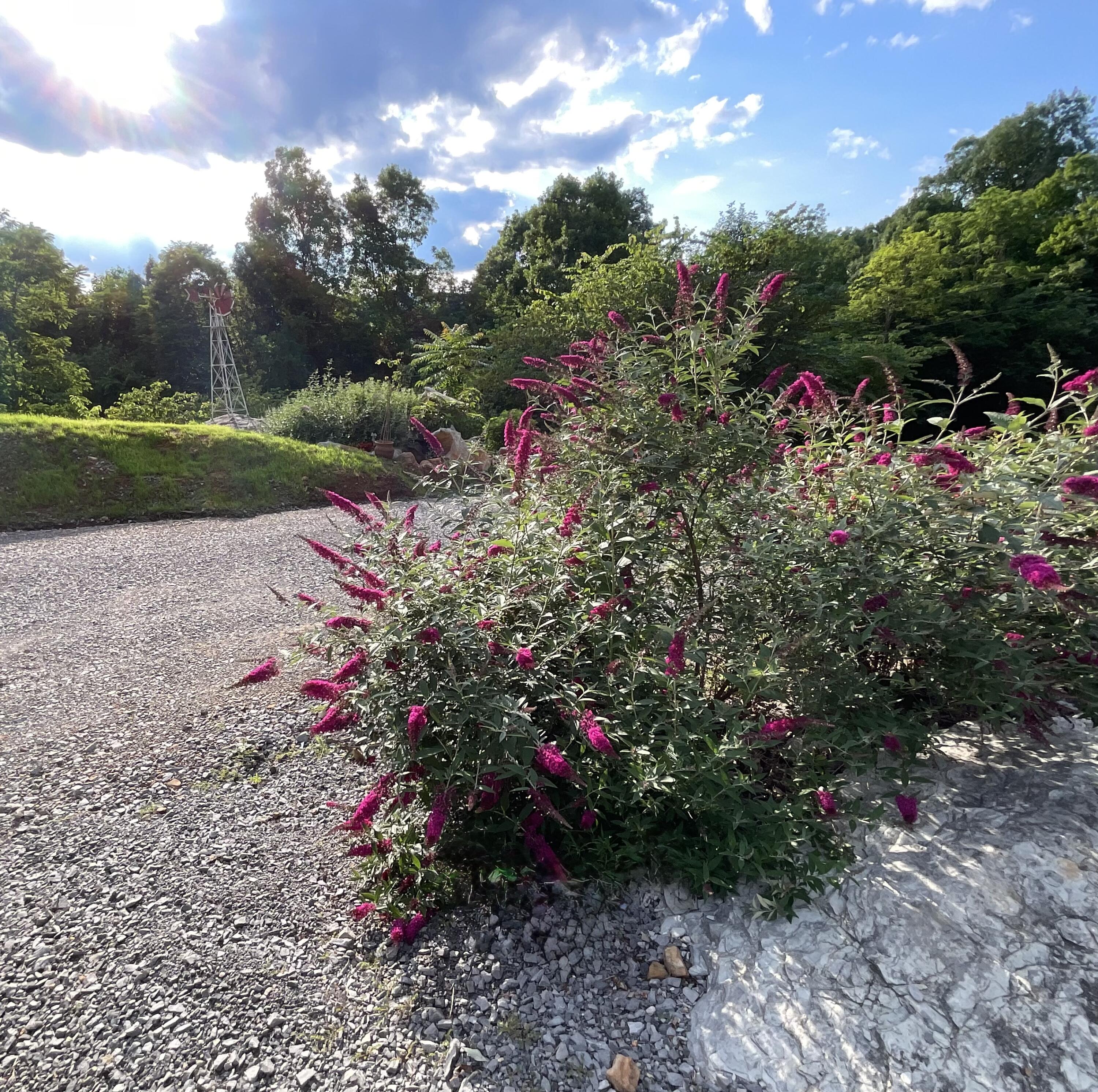 690 Ditch Gap Road Whitwell, TN 37397 - Photo 4 of 104 IMG_0276