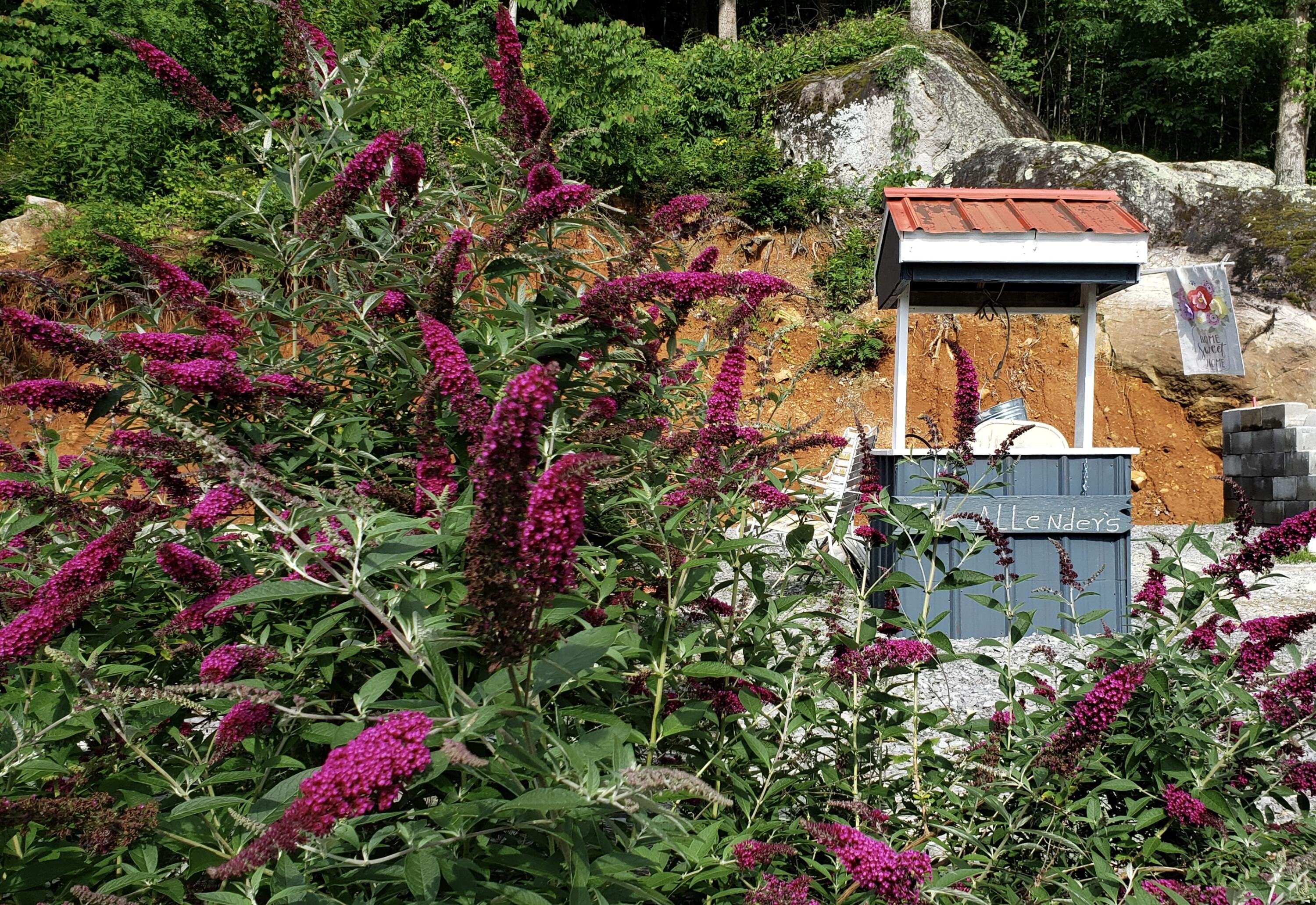 690 Ditch Gap Road Whitwell, TN 37397 - Photo 61 of 104 20250530_162806