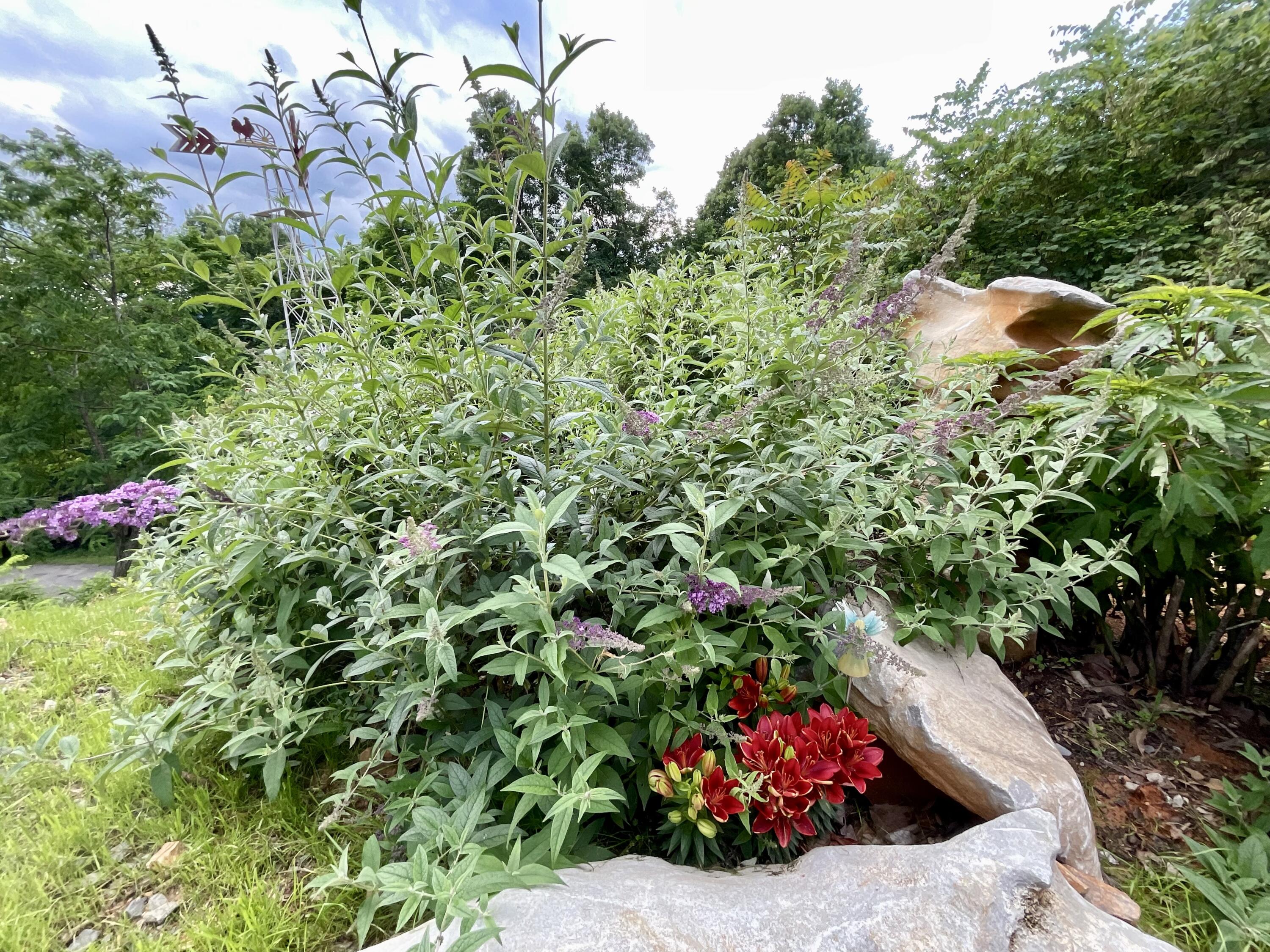 690 Ditch Gap Road Whitwell, TN 37397 - Photo 66 of 104 IMG_0236