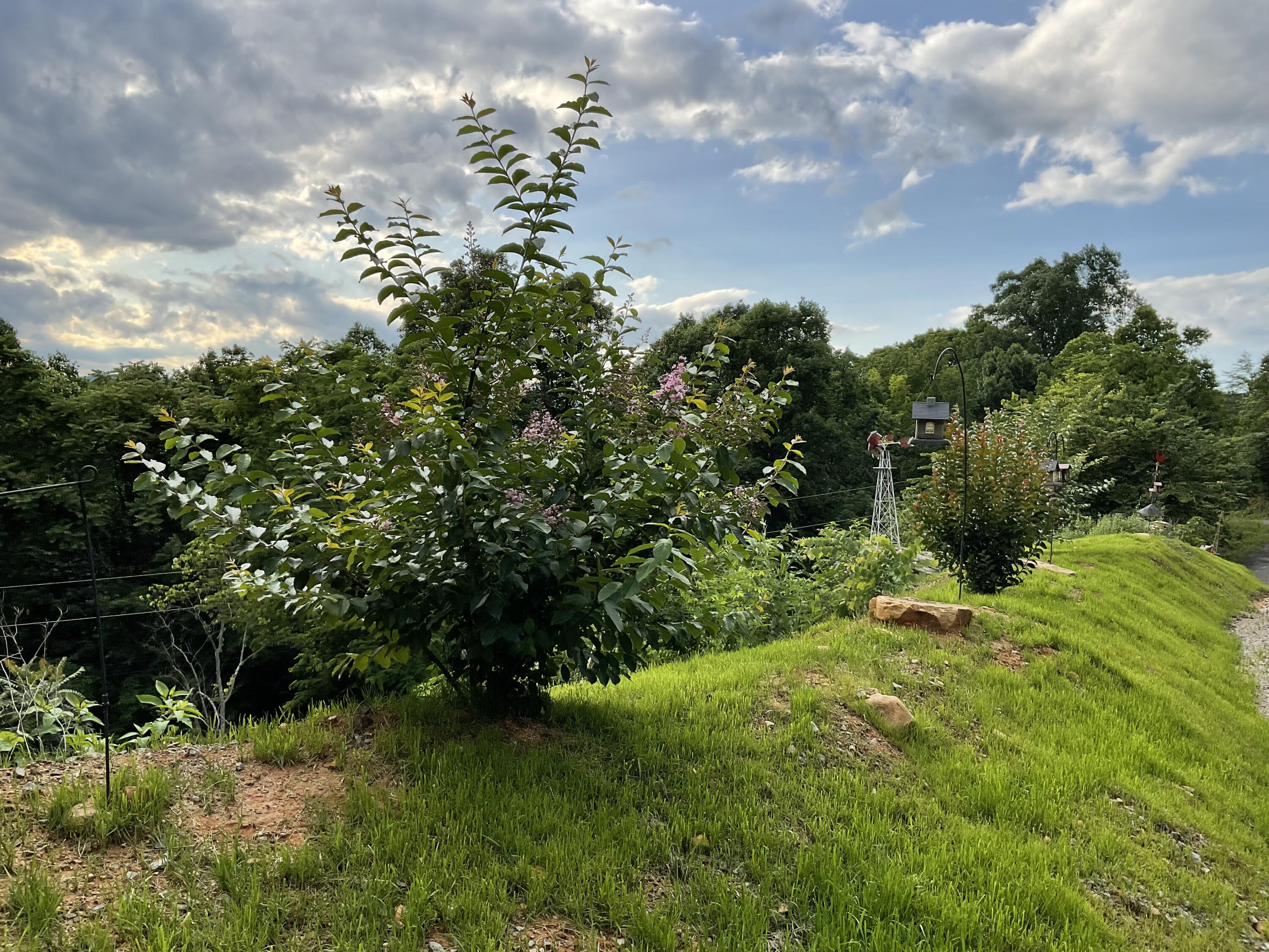 690 Ditch Gap Road Whitwell, TN 37397 - Photo 71 of 104 IMG_0225