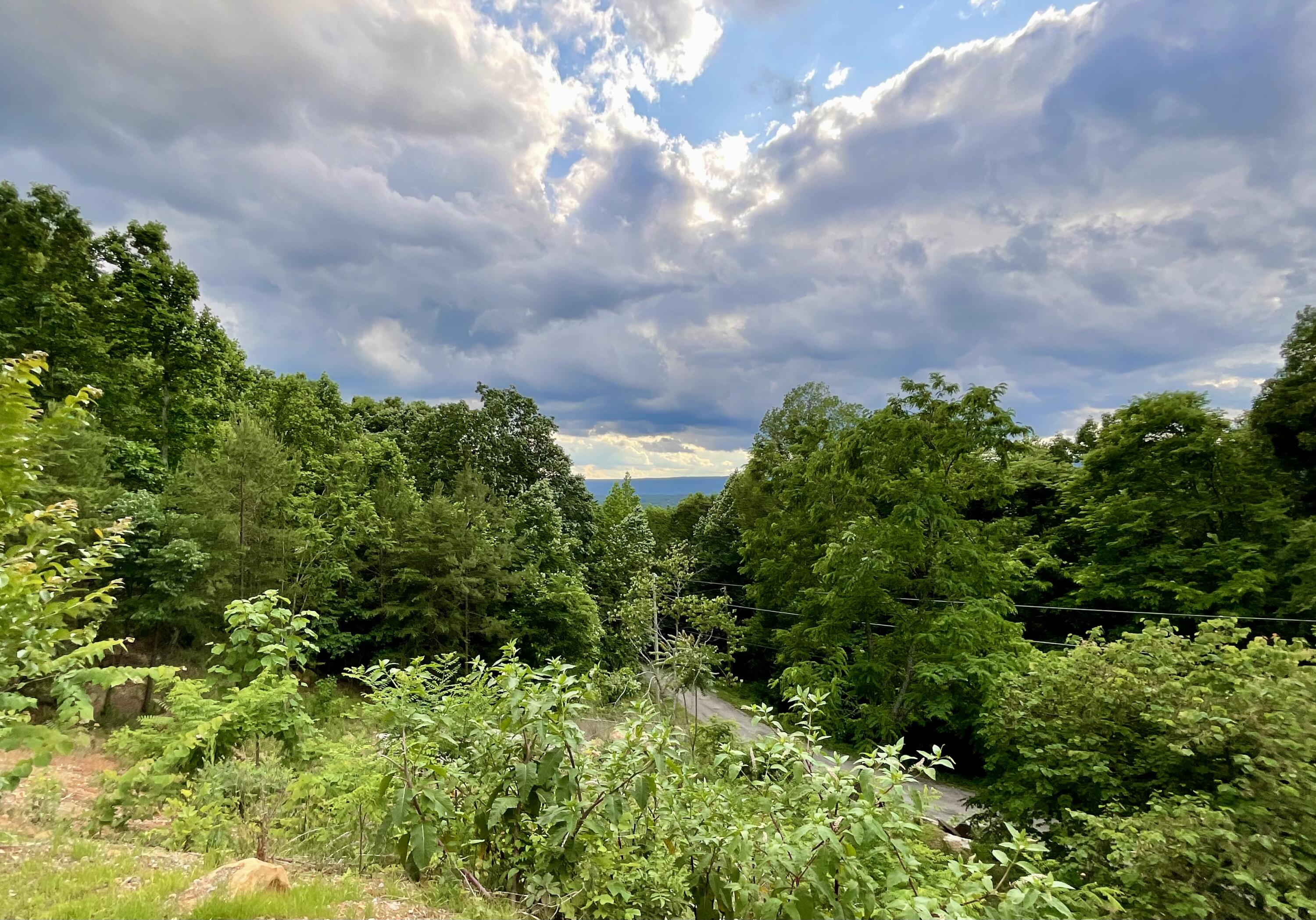 690 Ditch Gap Road Whitwell, TN 37397 - Photo 74 of 104 IMG_0238