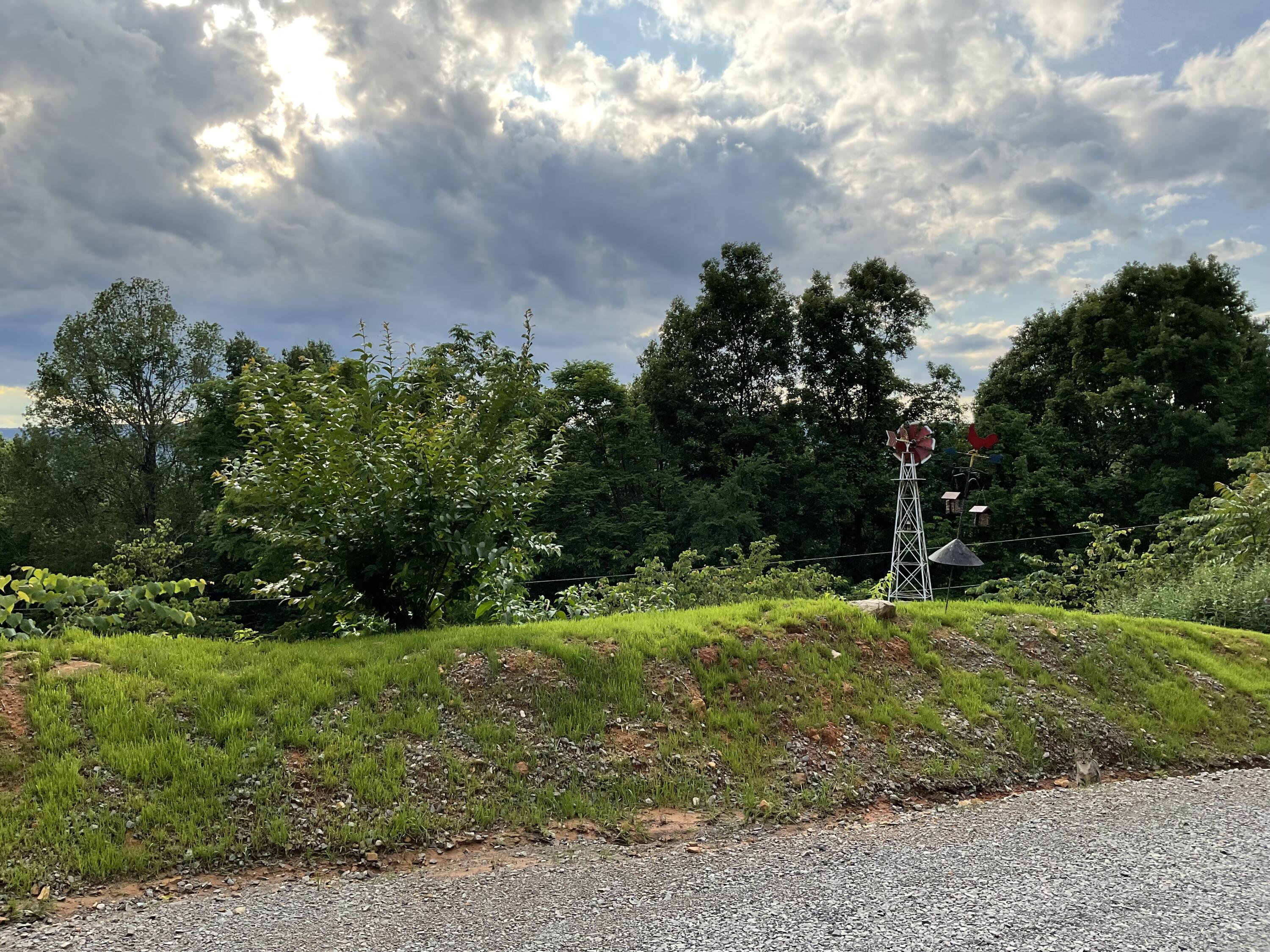 690 Ditch Gap Road Whitwell, TN 37397 - Photo 76 of 104 IMG_0219