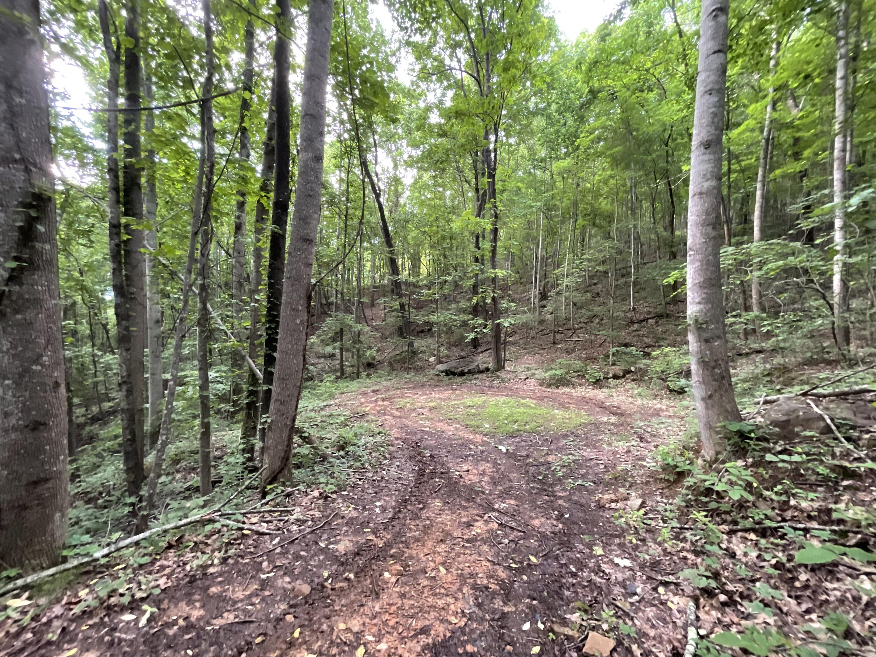 690 Ditch Gap Road Whitwell, TN 37397 - Photo 93 of 104 IMG_0249