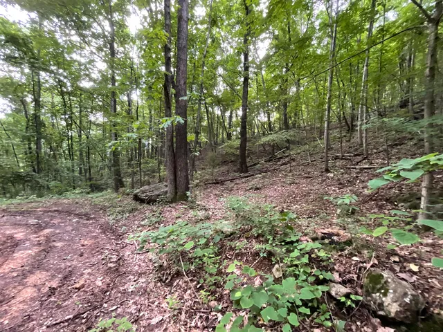 $399,999 | 690 Ditch Gap Road, Whitwell, TN 37397