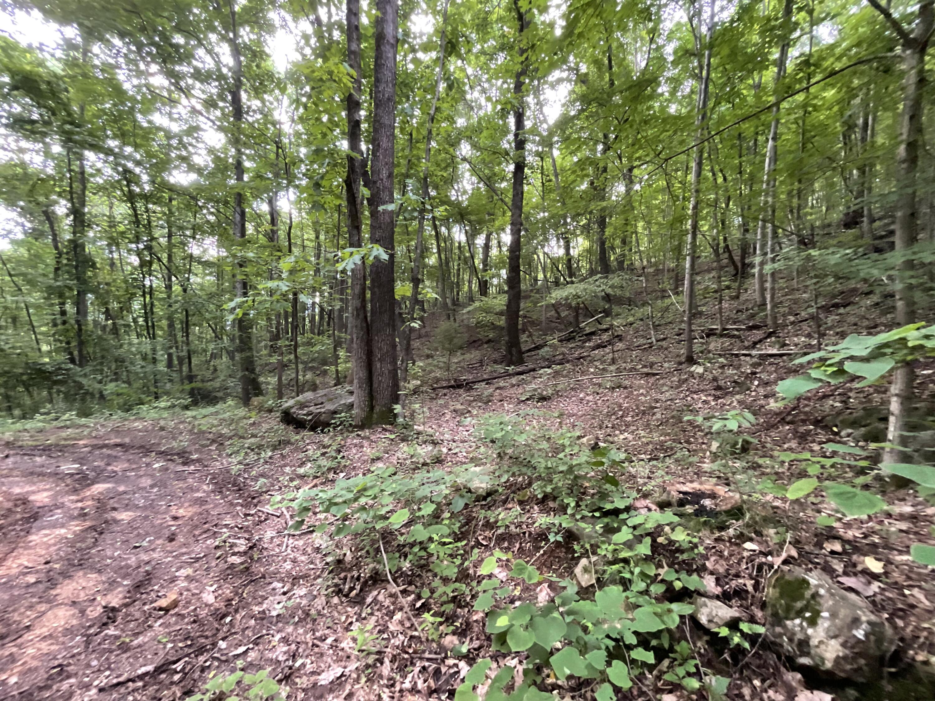 690 Ditch Gap Road Whitwell, TN 37397 - Photo 94 of 104 IMG_0254