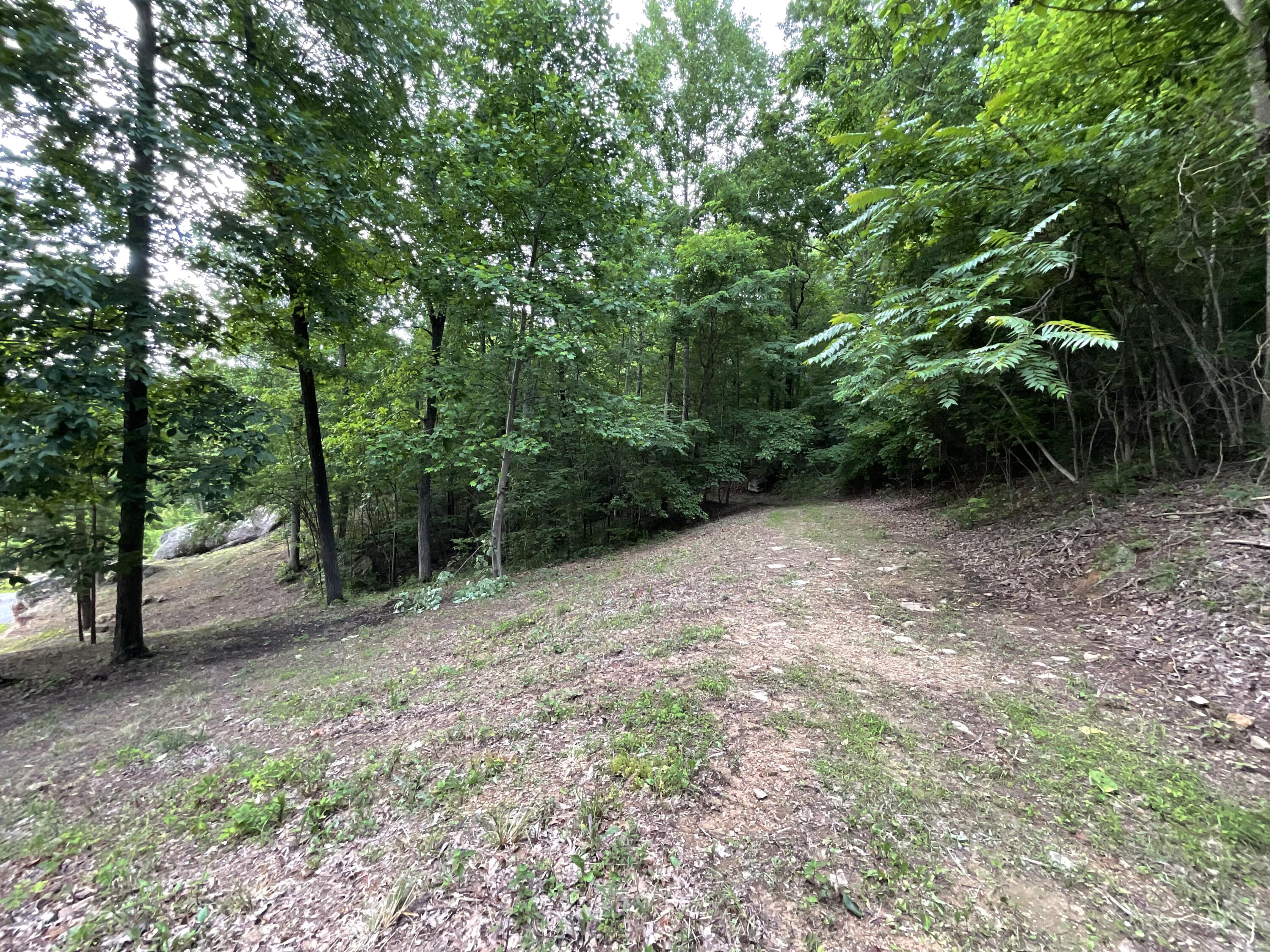 690 Ditch Gap Road Whitwell, TN 37397 - Photo 96 of 104 IMG_0245