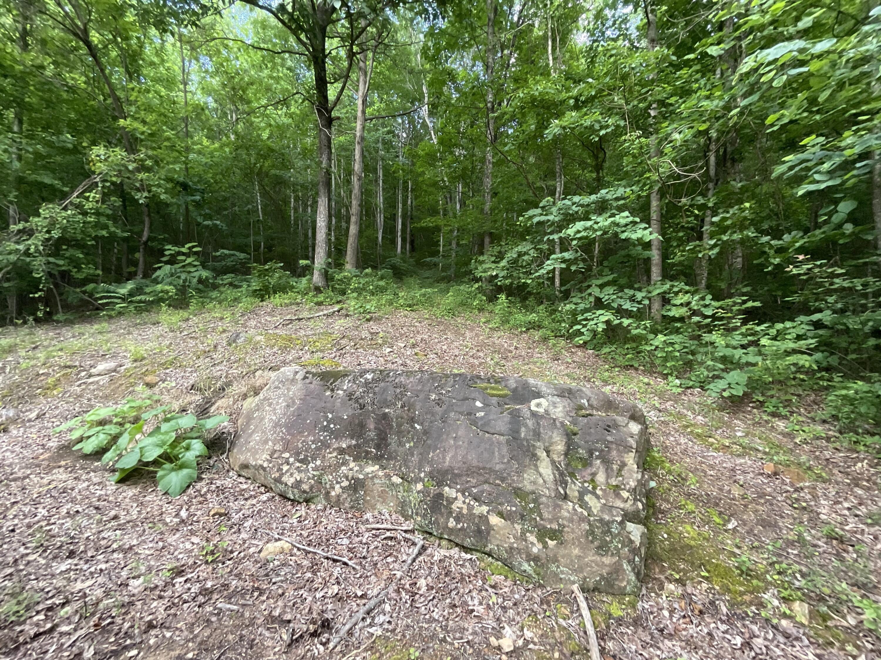 690 Ditch Gap Road Whitwell, TN 37397 - Photo 97 of 104 IMG_0243