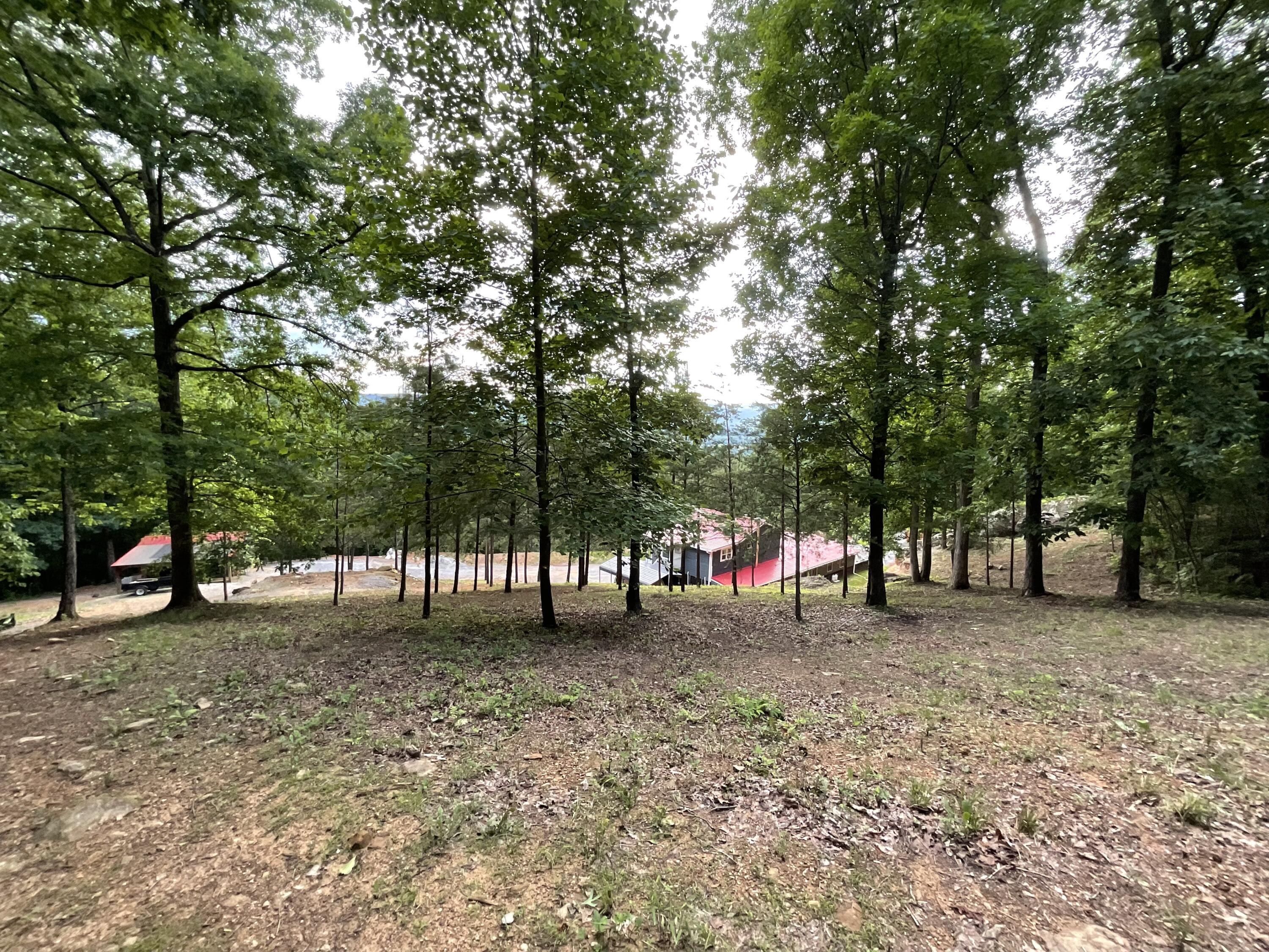 690 Ditch Gap Road Whitwell, TN 37397 - Photo 98 of 104 IMG_0244