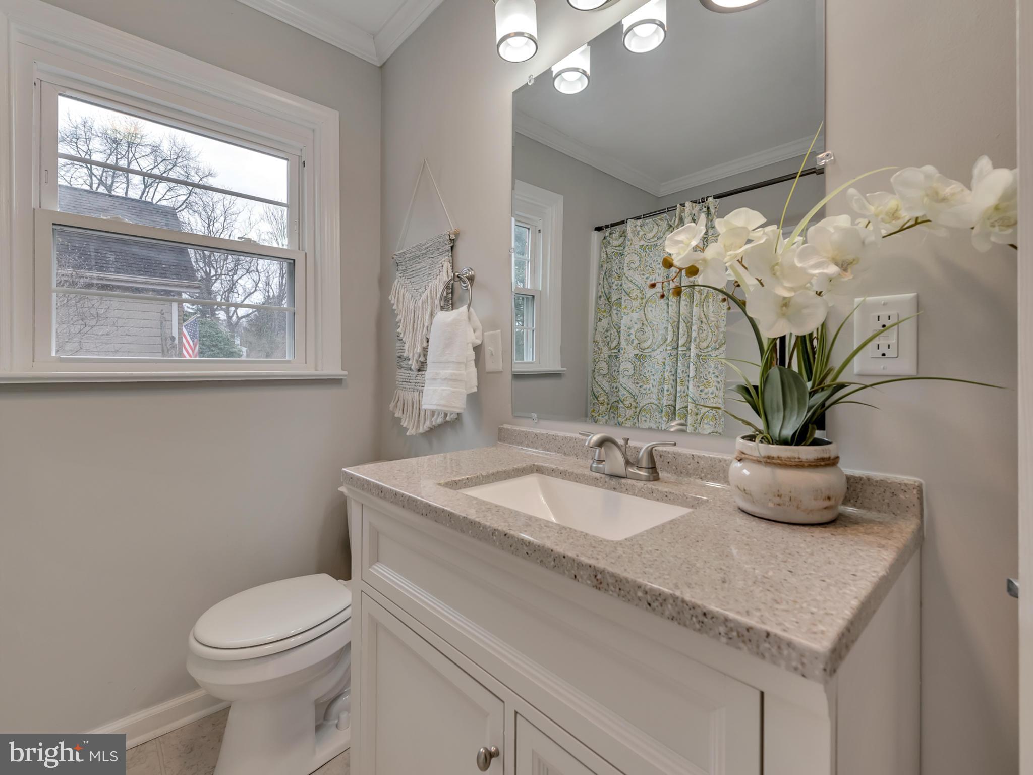 7605 Ridge Road Frederick, MD 21702 - Photo 8 of 45 Hall Bath
