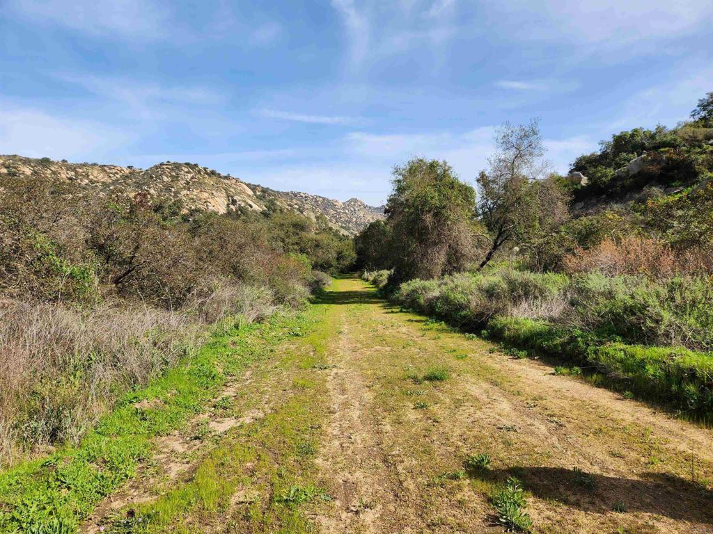 4800-blk 5th 4800-blk 5th Street Fallbrook, CA 92028 - Photo 9 of 17 a view of a pathway both side of grassy field with trees