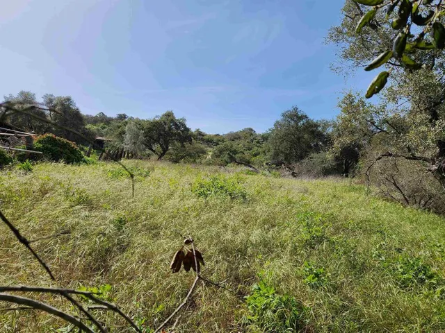 $815,000 | 4800-blk 5th 4800-blk 5th Street, Fallbrook, CA 92028