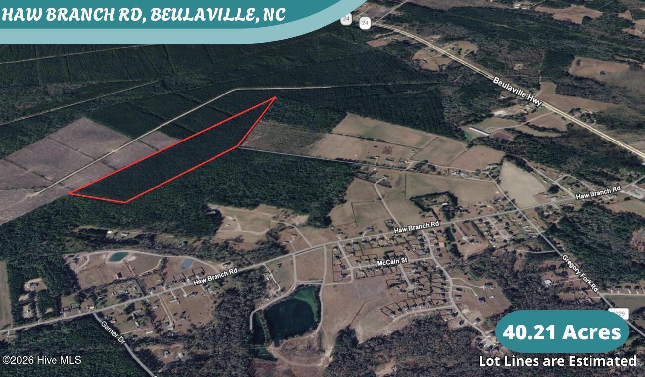 40-acres Haw Branch Road Beulaville, NC 28518 - Photo 1 of 10 Haw Branch