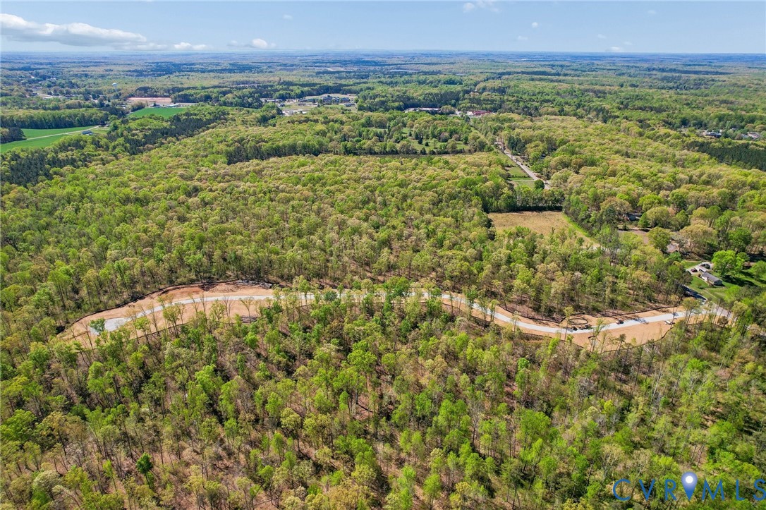 2586 Maidens Road Powhatan, VA 23139 - Photo 24 of 27 a view of a lush green field
