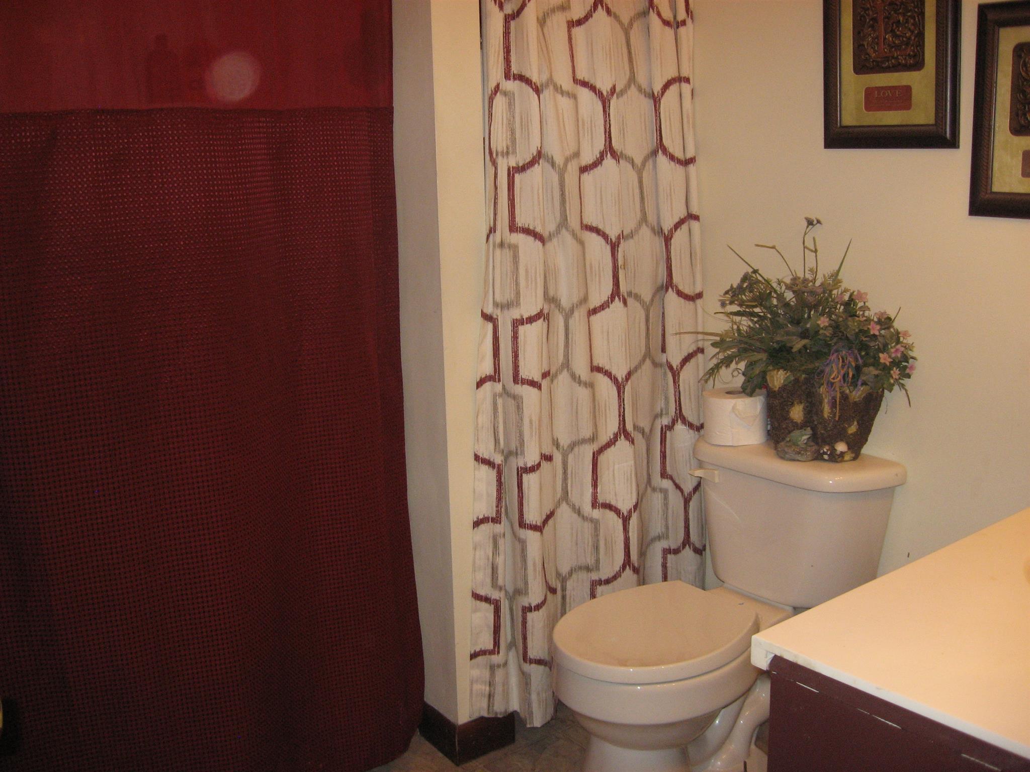 8811 Greenville Road Elkton, KY 42220 - Photo 16 of 29 master bath