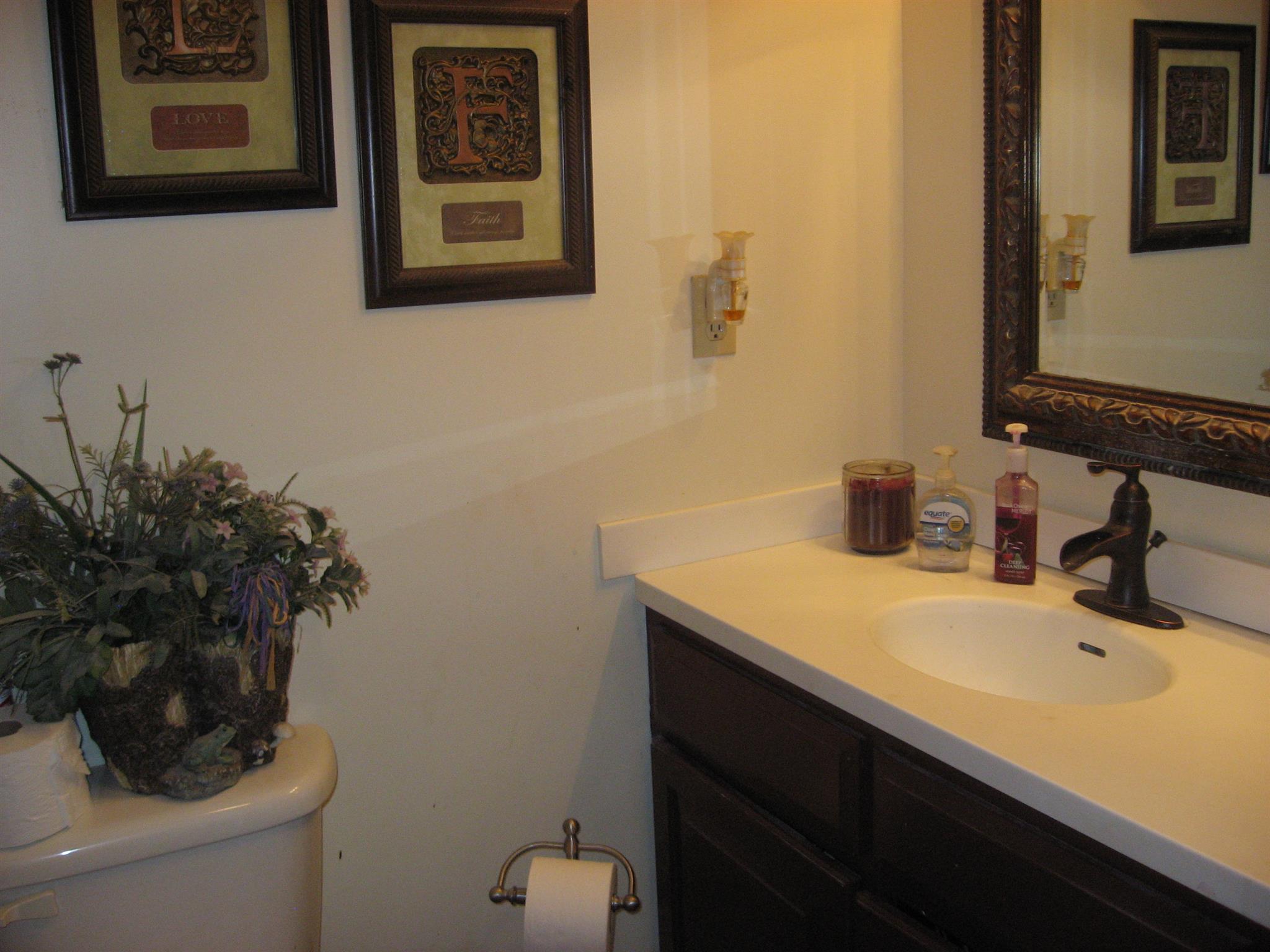 8811 Greenville Road Elkton, KY 42220 - Photo 17 of 29 master bath