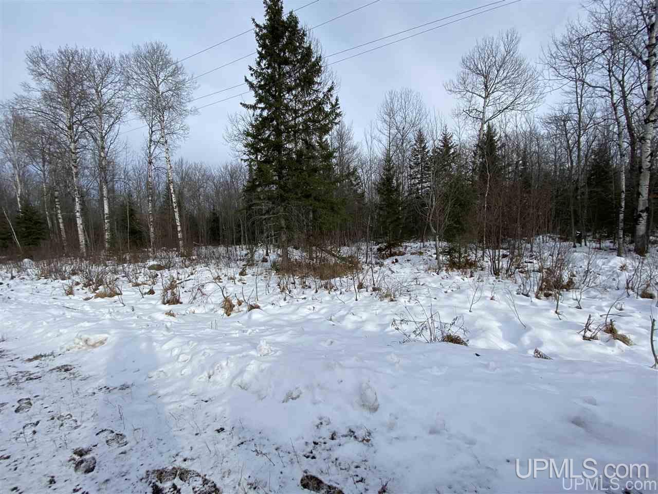 On South Barber Road Bessemer, MI 49911 - Photo 11 of 21 Gallery Image 11