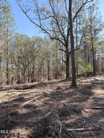 $103,974 | Red Bluff Road, Moss Point, MS 39562