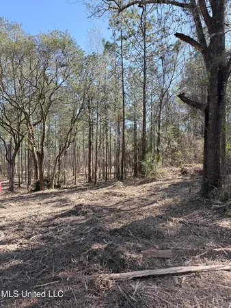 $103,974 | Red Bluff Road, Moss Point, MS 39562