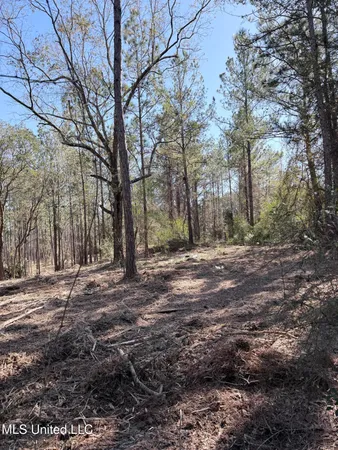 $103,974 | Red Bluff Road, Moss Point, MS 39562