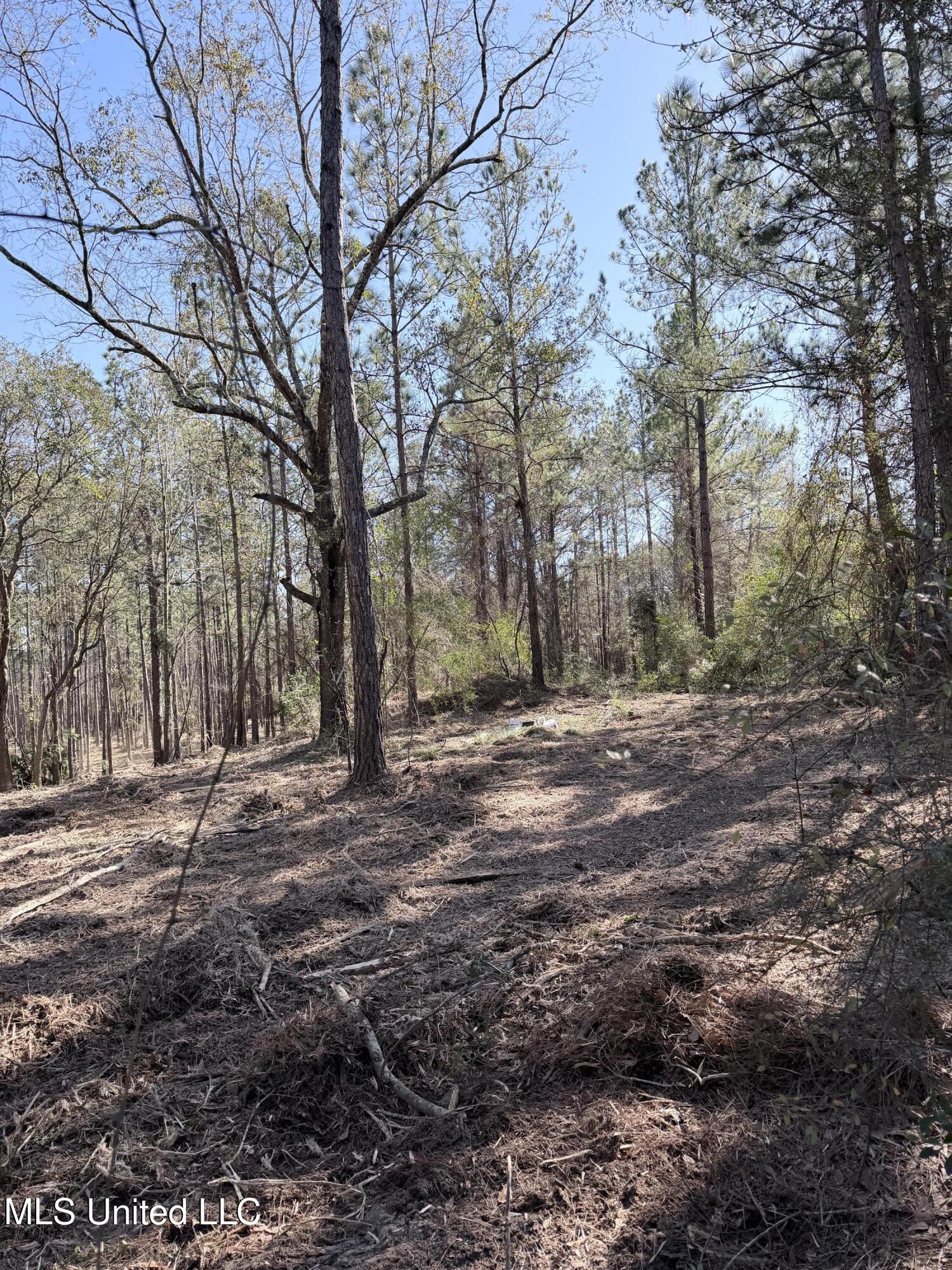 Red Bluff Road Moss Point, MS 39562 - Photo 4 of 5 IMG_2780