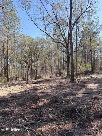 $103,974 | Red Bluff Road, Moss Point, MS 39562