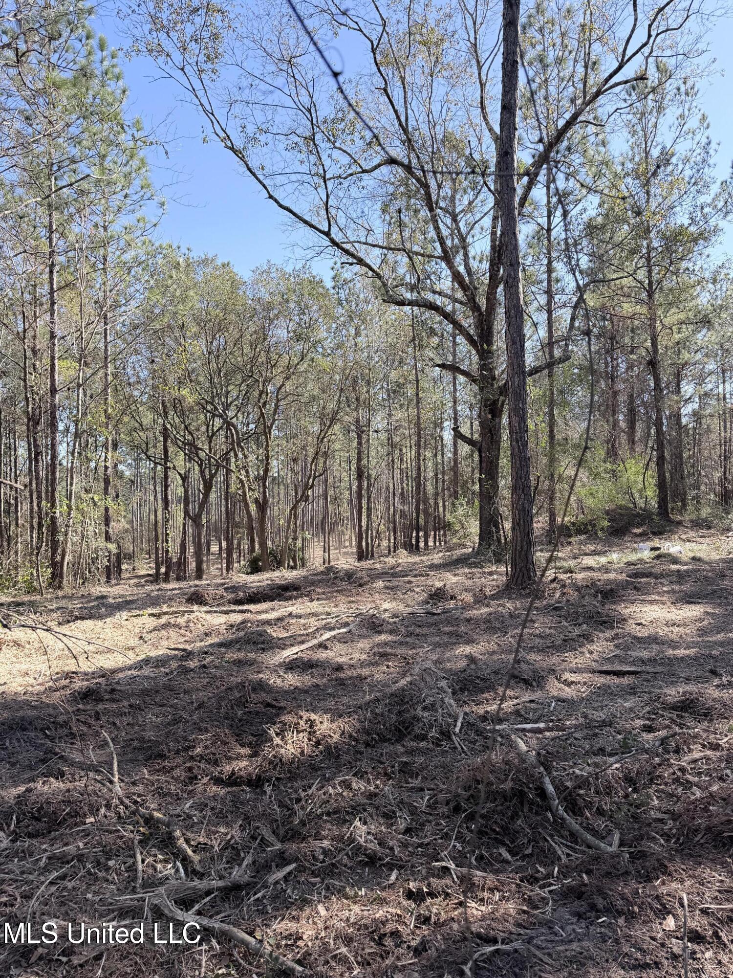 Red Bluff Road Moss Point, MS 39562 - Photo 5 of 5 IMG_2779