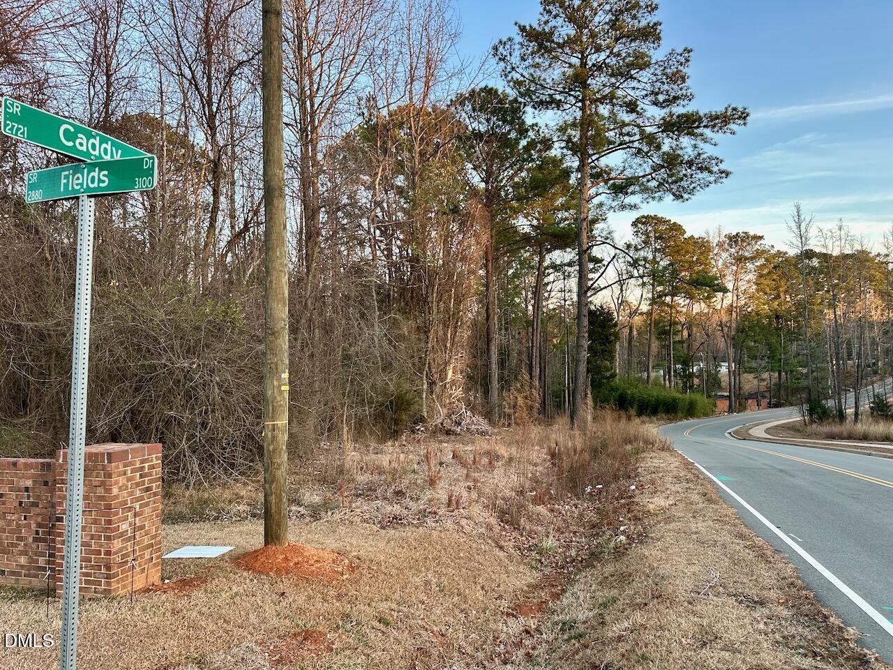 0 Fields Drive Raleigh, NC 27603 - Photo 9 of 17 IMG_2334