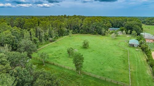 11802 Blue Tick Road Odessa, FL 33556 - Photo 1 of 1 Gallery Image 1