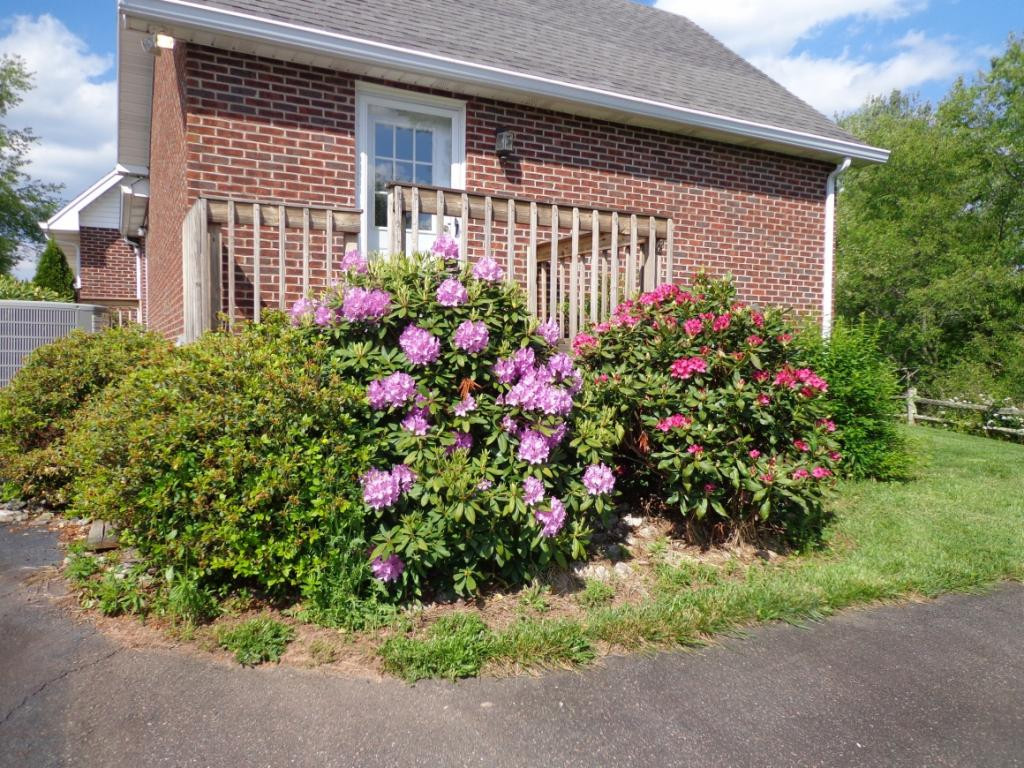 644 Hospital Road Mountain City, TN 37683 - Photo 4 of 35 Photo 4