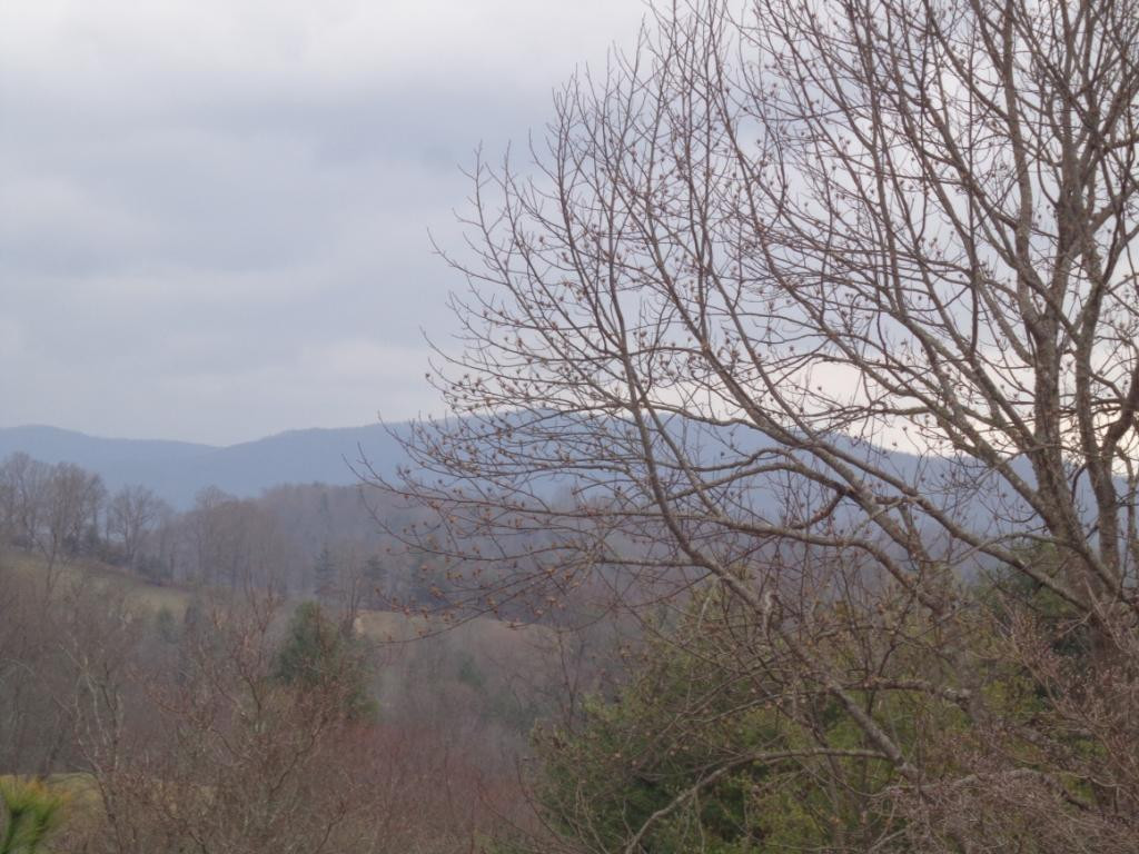 644 Hospital Road Mountain City, TN 37683 - Photo 10 of 35 Photo 10