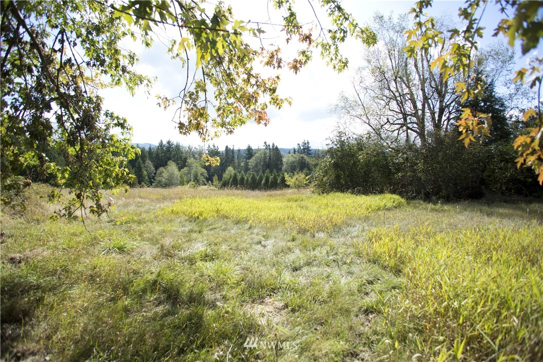 1557 Kelly Road Bellingham, WA 98226 - Photo 22 of 22