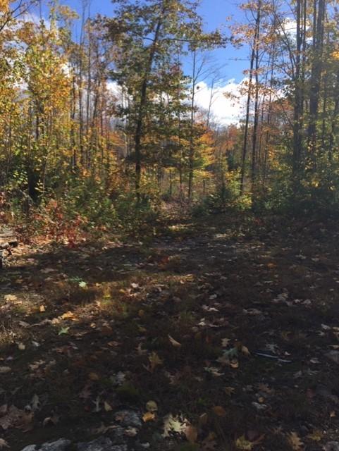 96 Deering Neighborhood Road Springvale, ME 04083 - Photo 6 of 29 3