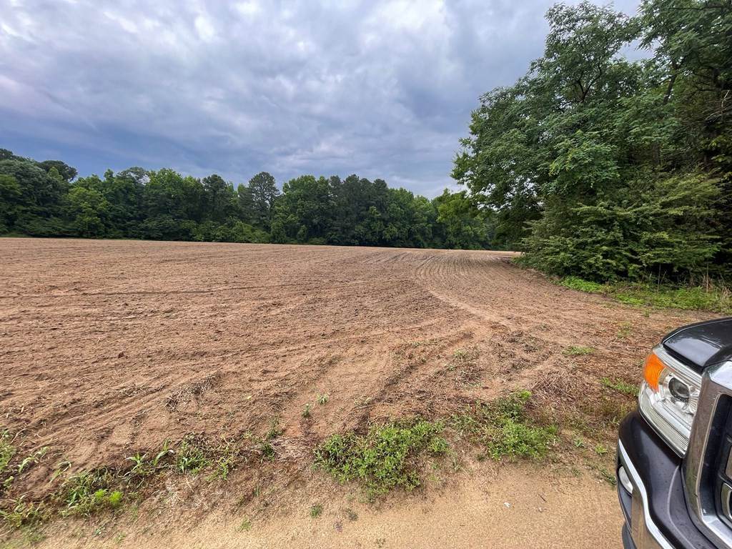 0 Loss Brook Road Manning, SC 29102 - Photo 2 of 14