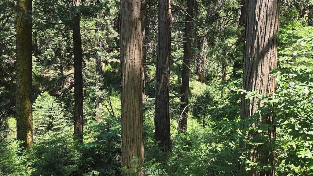 0 Deer Run Road Cedarpines Park, CA 92322 - Photo 11 of 14