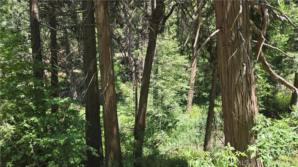 0 Deer Run Road Cedarpines Park, CA 92322 - Photo 12 of 14 a view of forest