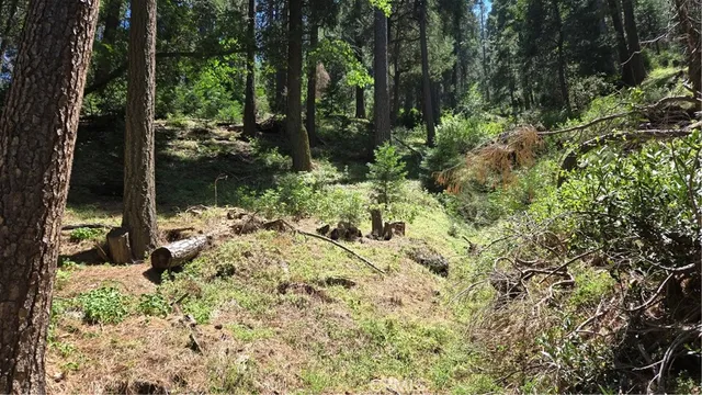 a view of a house with a tree
