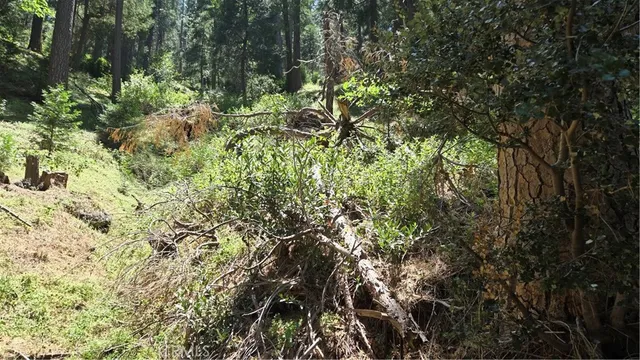 a backyard of a house with lots of green space