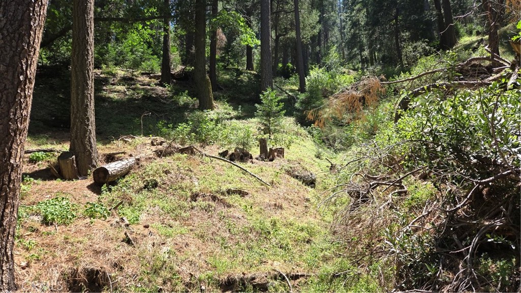 0 Deer Run Road Cedarpines Park, CA 92322 - Photo 7 of 14 a backyard of a house with lots of green space